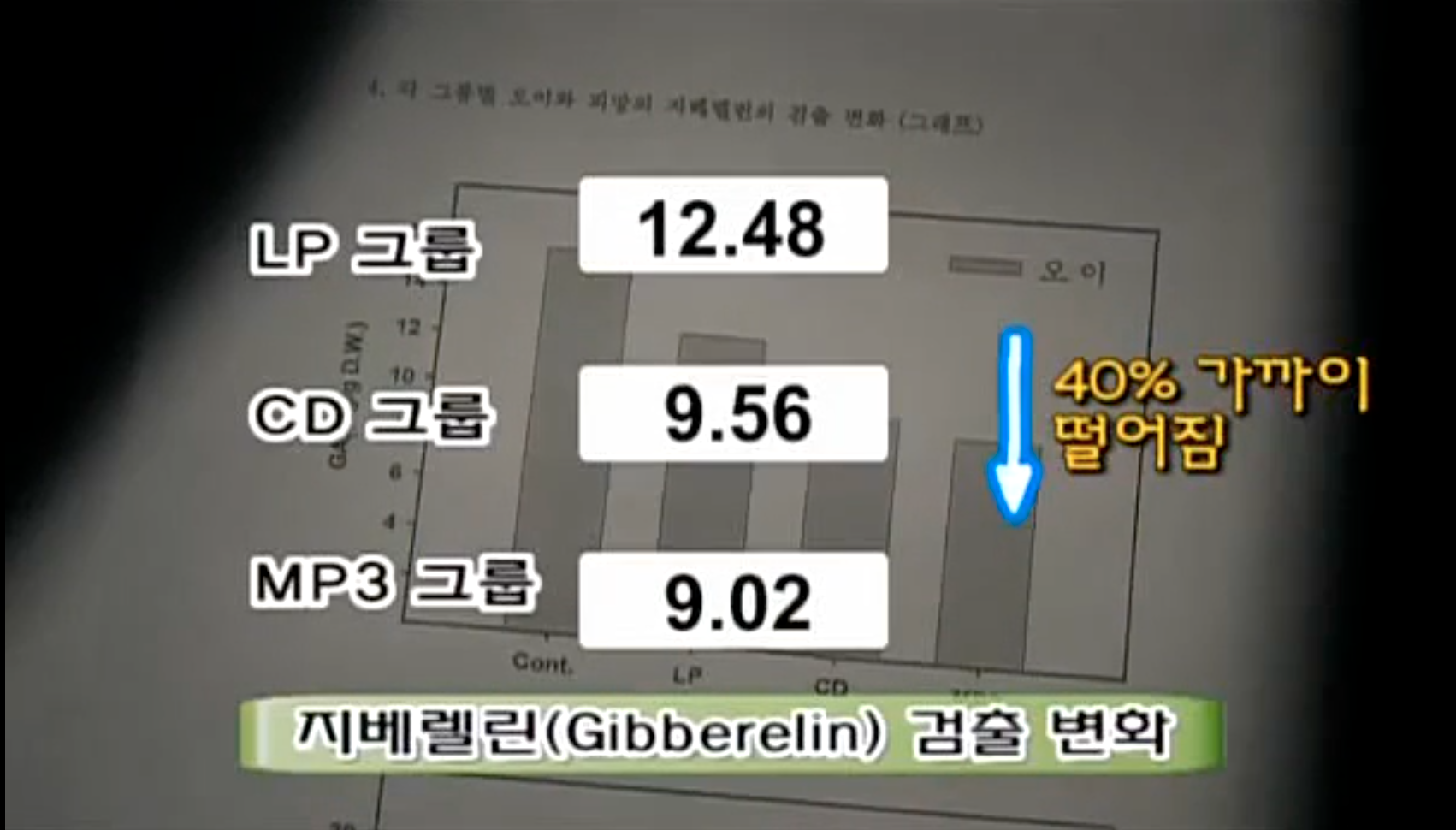 MBC 생명의 소리 식물 호르몬 실험